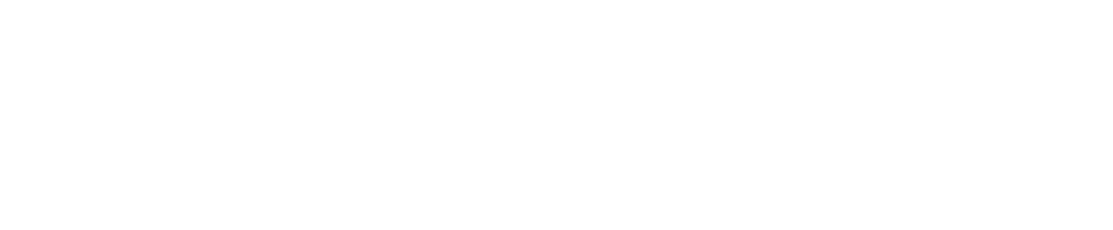 4SFS Logo
